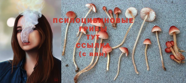 дурь Аркадак